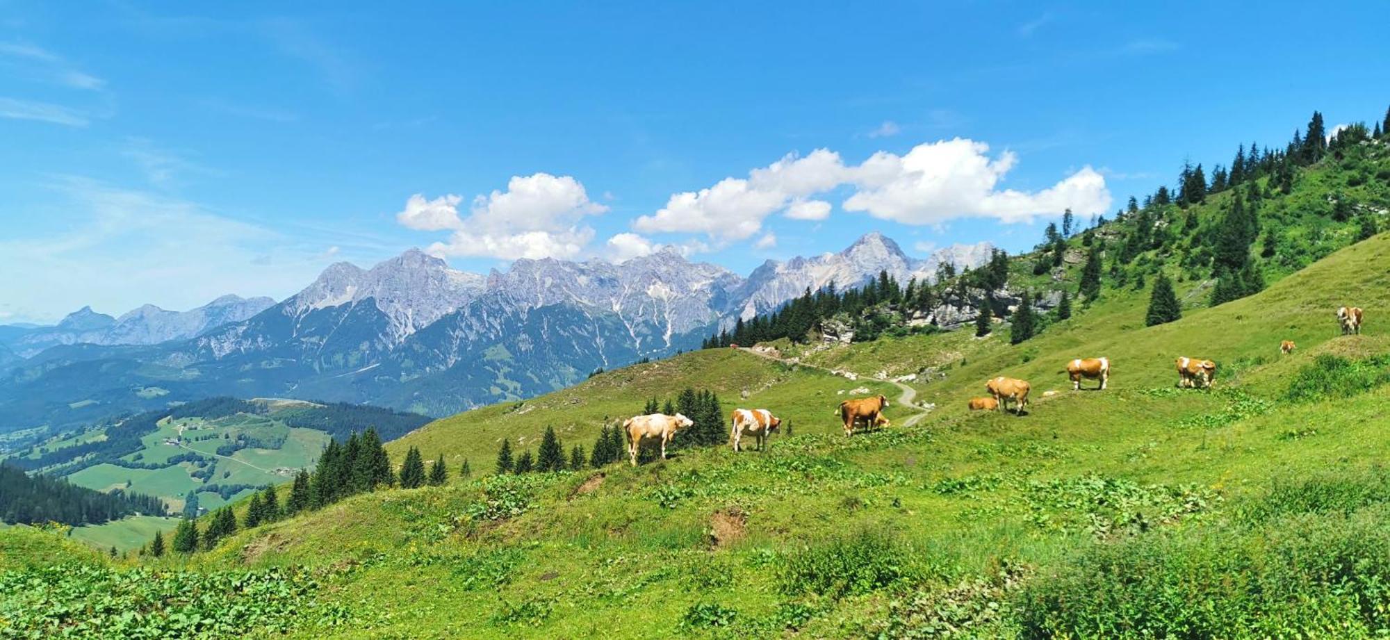 Maria Alm - Komfortables Gipfelglueck Saalfelden